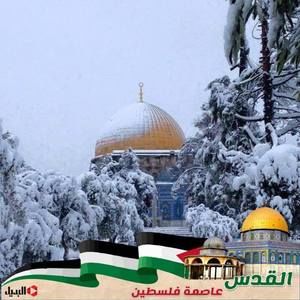 Meet your Posher, Farid